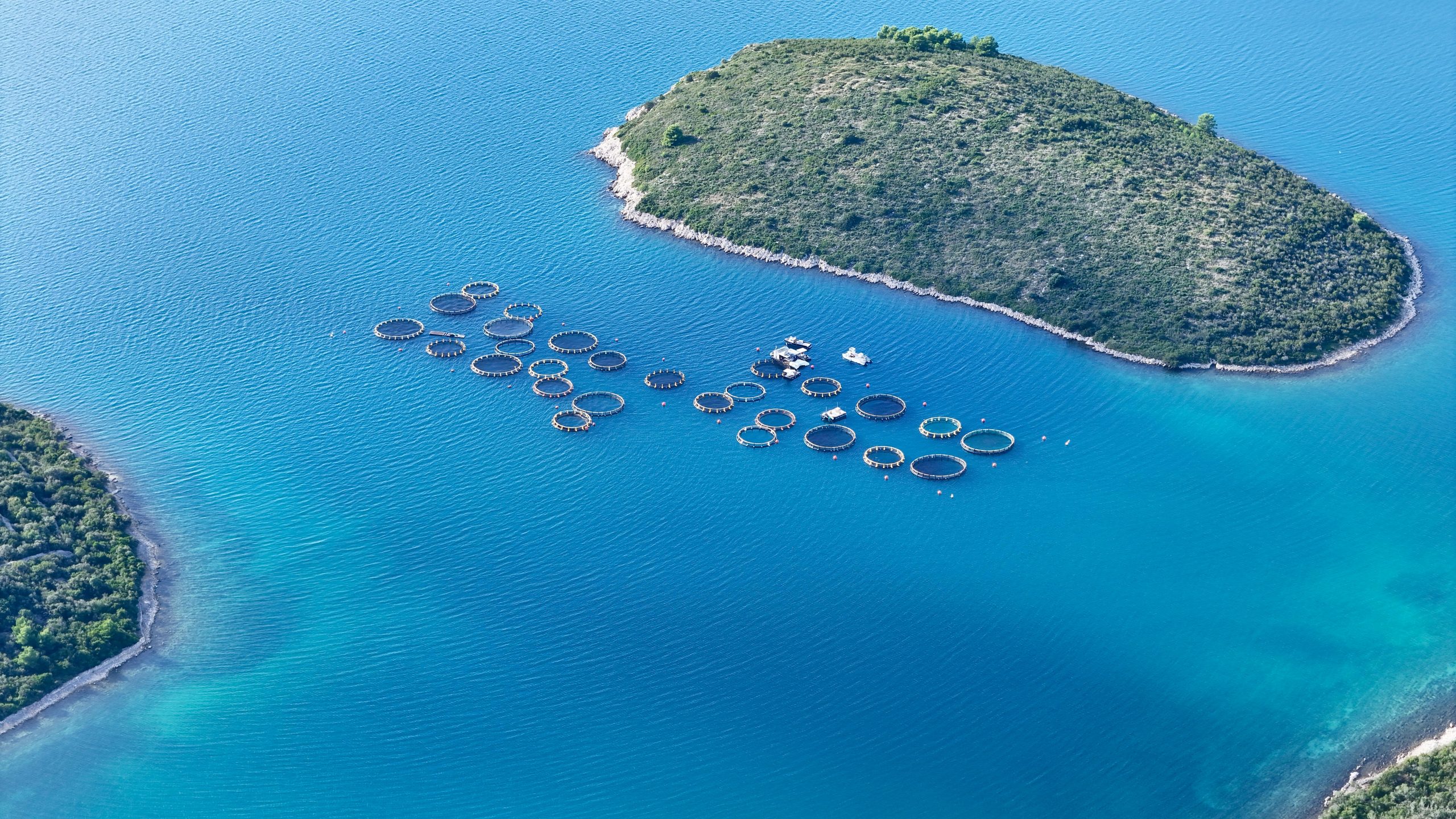 Aquaculture